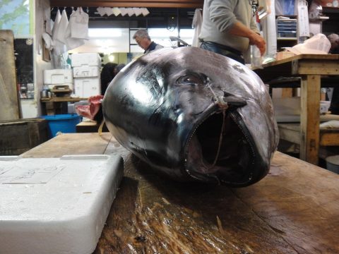 Tsukiji Outer Market Food Tour