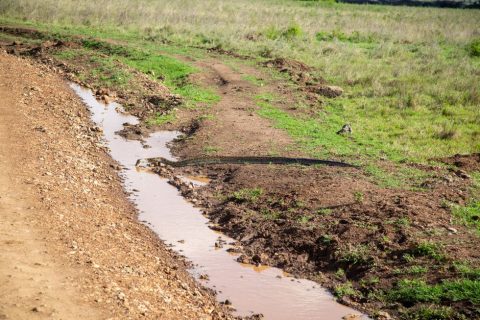 Nairobi Snake Park