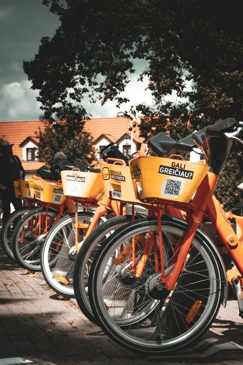 Bike Tours & Rentals