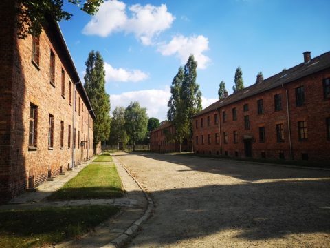 Holocaust Museum & Litvak Culture Museum