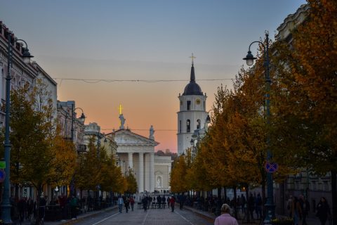 Vilnius Cathedral & Bell Tower