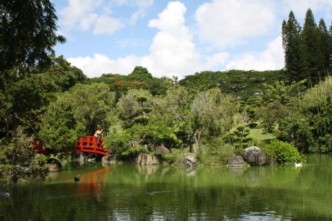 Bandaara Kilhi Park