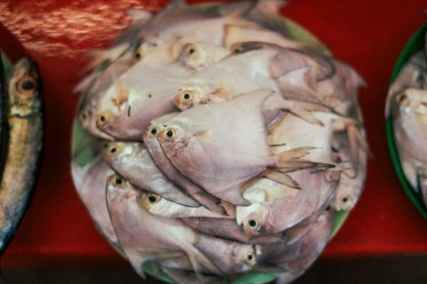 Malé Fish Market