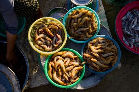 Malé Local Market Holiday Seafood Stalls