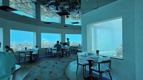 Only BLU Under Ocean Restaurant