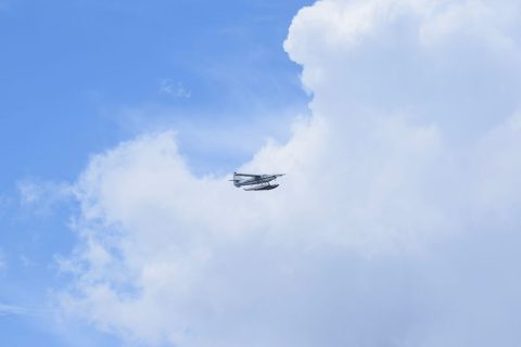 Scenic Seaplane Flight