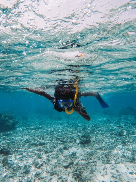 Snorkeling & Diving at Banana Reef