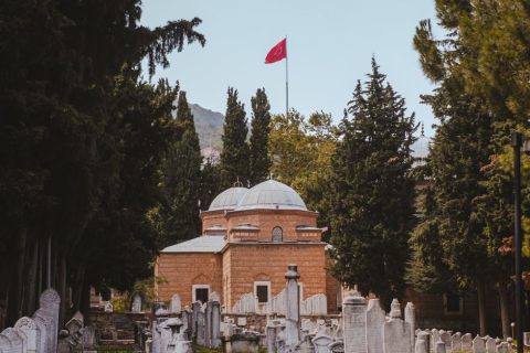 Sultans Graveyard (Coral Tombstones)
