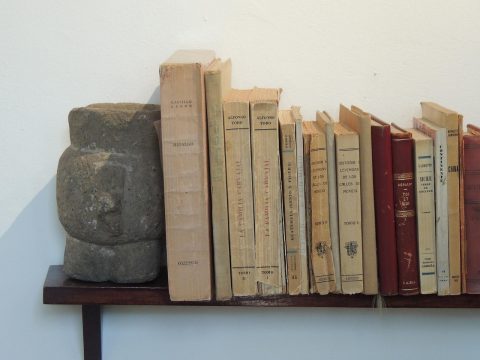 Frida Kahlo Museum
