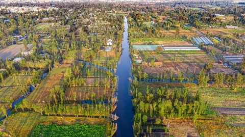 Parque Xochimilco