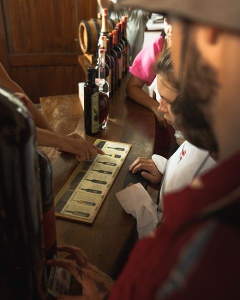 Wine Tasting Tours - Plantaže Winery