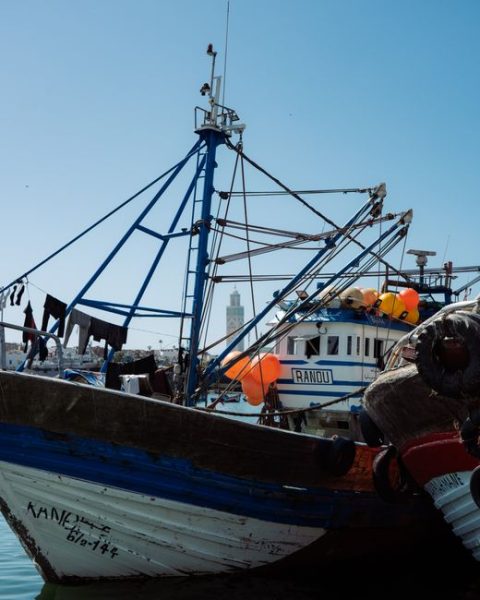 Atlantic Coast Boat Tour