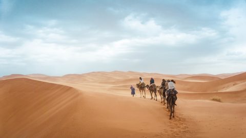 Sahara Desert Tour