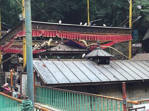 Dakshinkali Temple