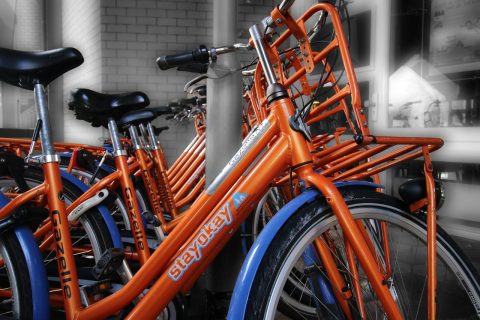 Bike Tours