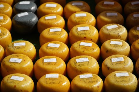 Gouda Cheese Town