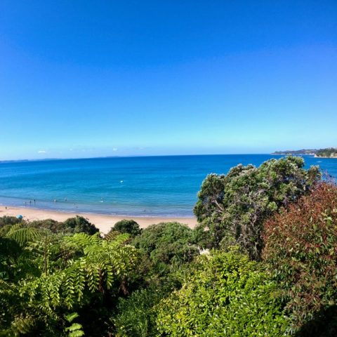 Wine Tour - Waiheke Island