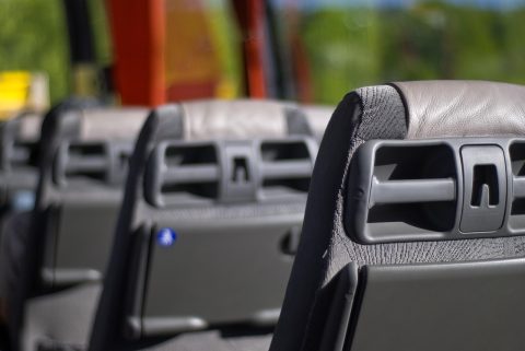 City Buses