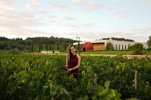 Wine Tasting Tour - Tikveš Region