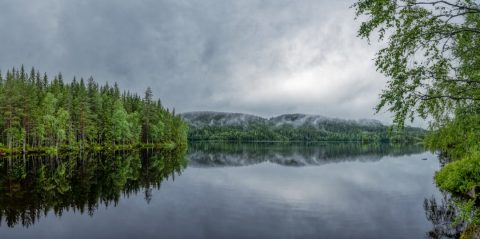 Oslo Hiking: Nordmarka Forest
