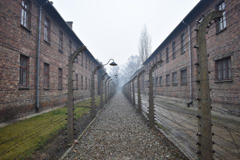 Auschwitz-Birkenau Memorial
