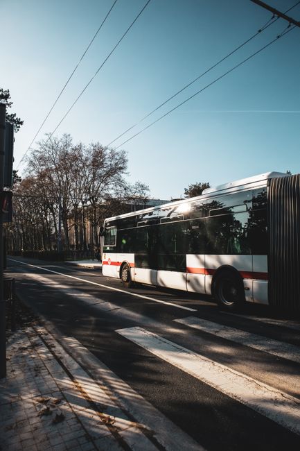 EVA Bus Network