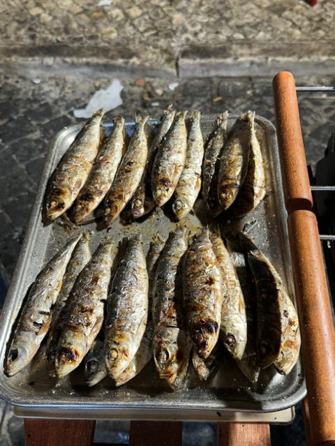 Portimão Sardine Festival