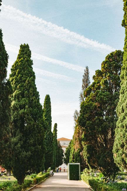 Ajuda Botanical Garden
