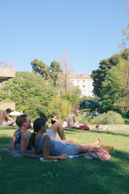 Jardim da Estrela