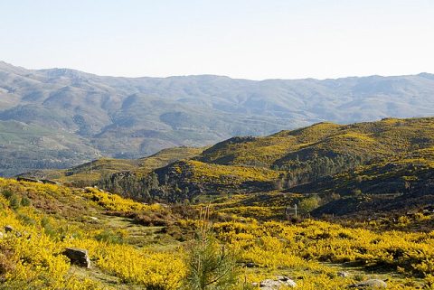 Peneda-Gerês National Park
