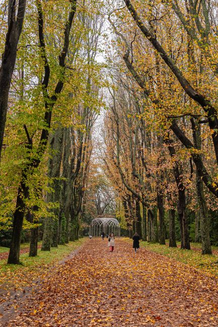 Serralves Gardens