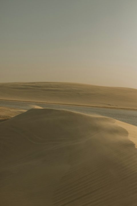 Desert Safari & Dune Bashing