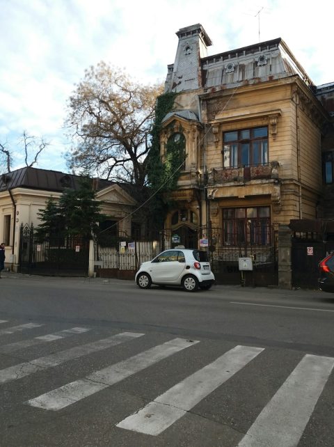 Food & Wine Tours