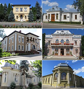 Ion Irimescu Art Museum (Fălticeni)