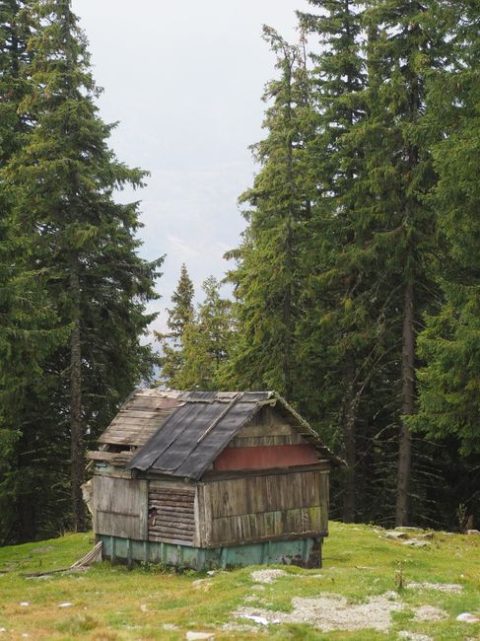 Rarău Hiking & Nature Tours