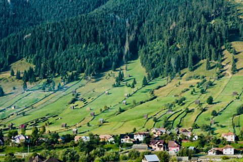 Slătioara Secular Forest (Codrul Secular Slătioara)