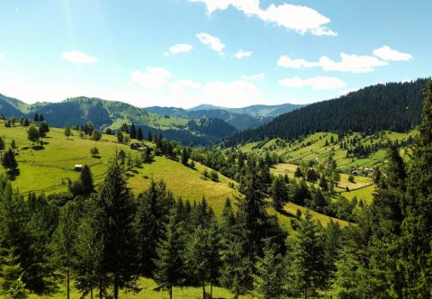 Vatra Dornei & the Dornelor Depression