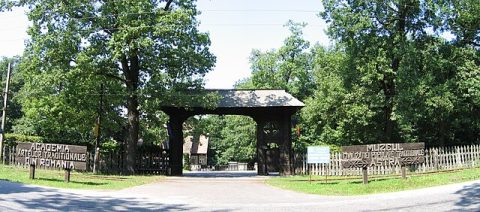 ASTRA National Museum Complex (Open-Air Museum)