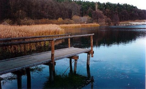 Dumbrava Sibiului Natural Park (Sub Arini Park)
