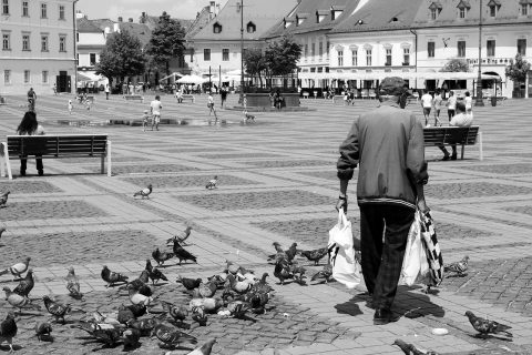 Free Walking Tours