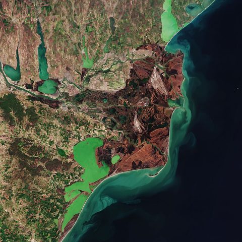 Danube Delta