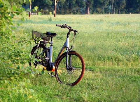 E-Bike or Segway Tour