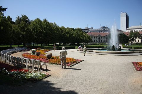 Medical Garden (Medická záhrada)
