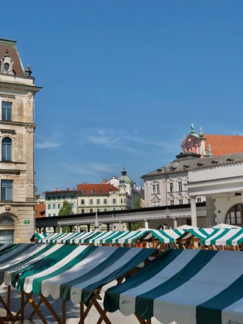 Central Market & Vodnikov Square