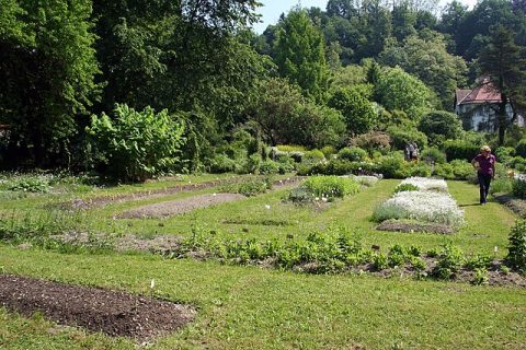 Ljubljana Botanical Garden