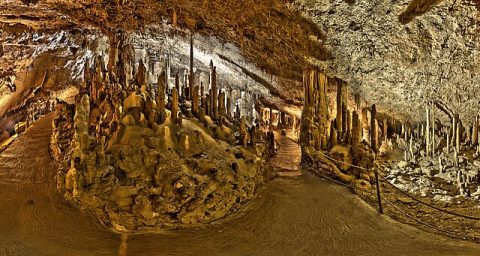 Škocjan Caves (UNESCO Site)