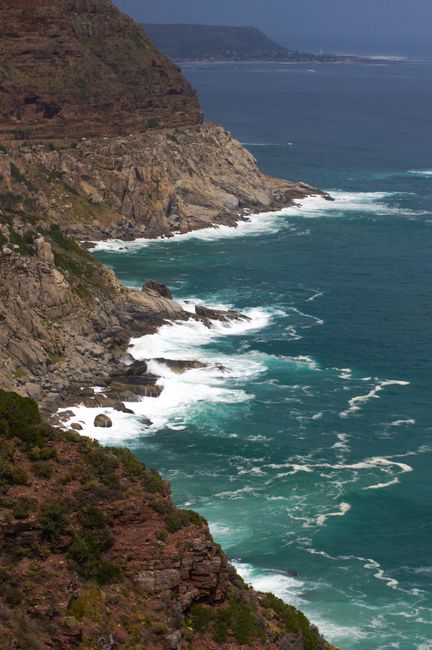 Cape Peninsula Scenic Drive & Tours