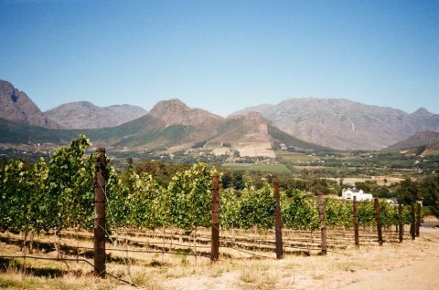 Franschhoek Wine Valley