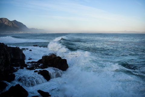 Hermanus: Whale Watching