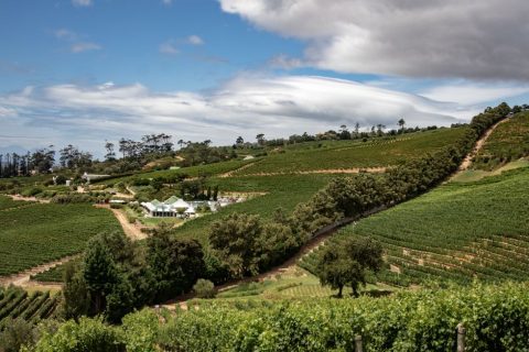 Winelands Scenic Train